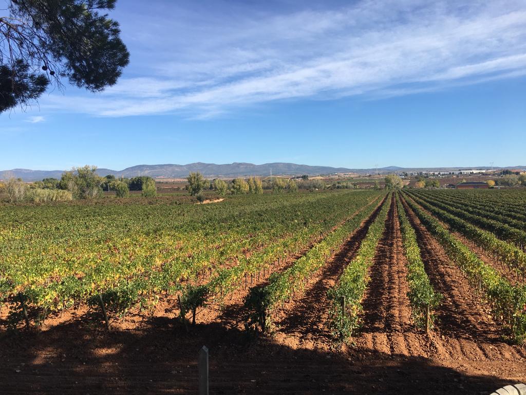 vineyard tours valencia